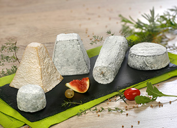 alimocentre-specialite-fromages